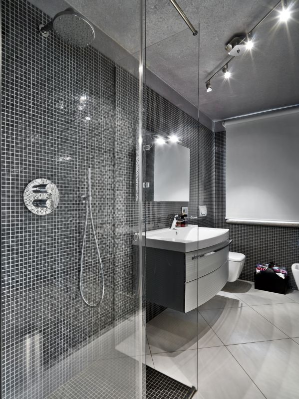 Sophisticated Shower Space